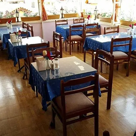 Pensjonat Yayla Apart 2*